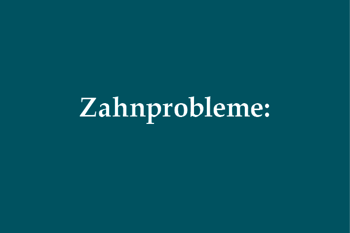 spezialisierte Ernährung bei Zahnproblemen Chihuahuas und Zahnprobleme