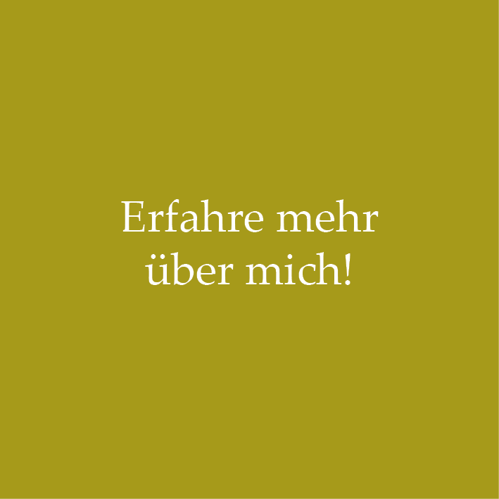 Erfahren über die Ernährung für Chihuahuas