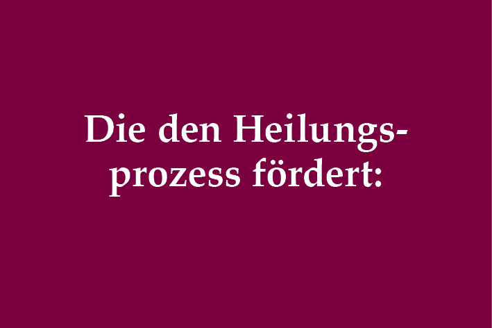 Heilungsprozess fördern Ernährungsberatung bei einem kranken Chihuahua
