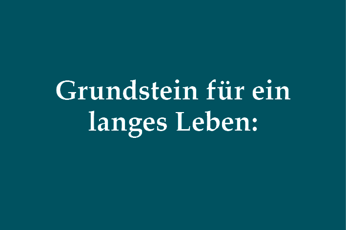 Langes Leben für Chihuahuas Richtige Nährstoffversorgung bei Chihuahuas