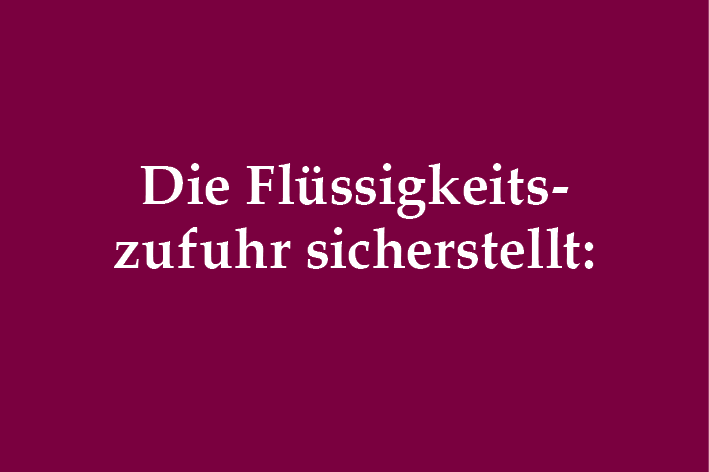 Fieber, Magen-Darm-Probleme Ernährungsberatung bei einem kranken Chihuahua